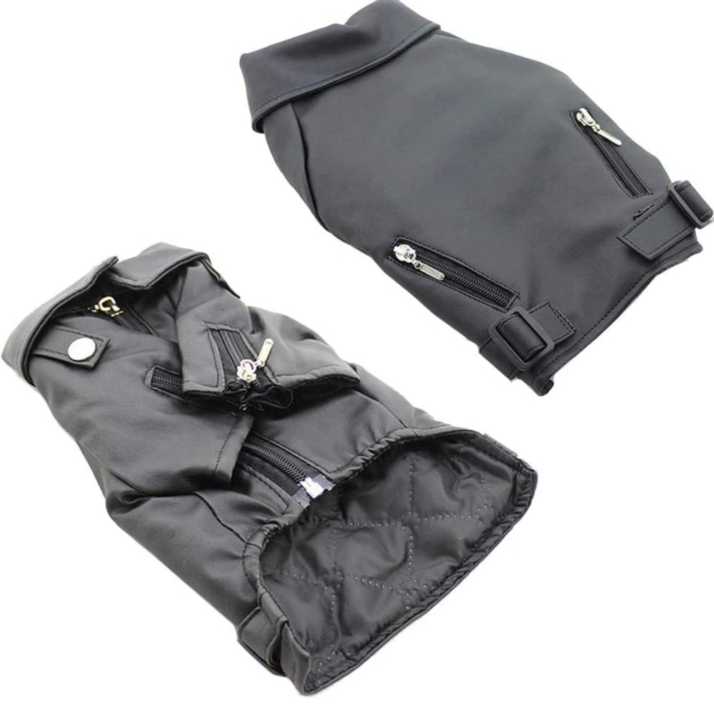 Doggy leather jacket. So cute!